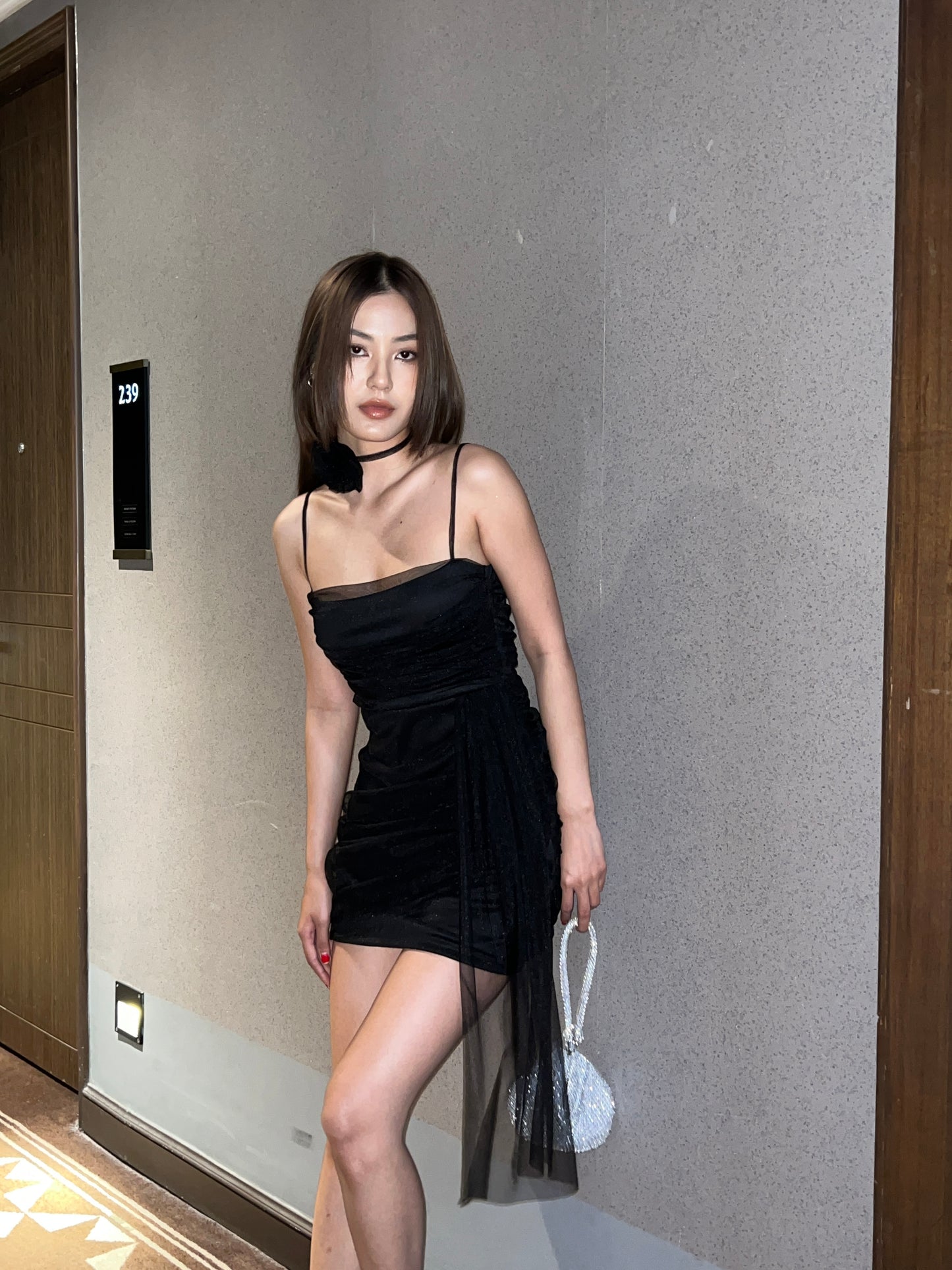 Zoey Mesh Dress