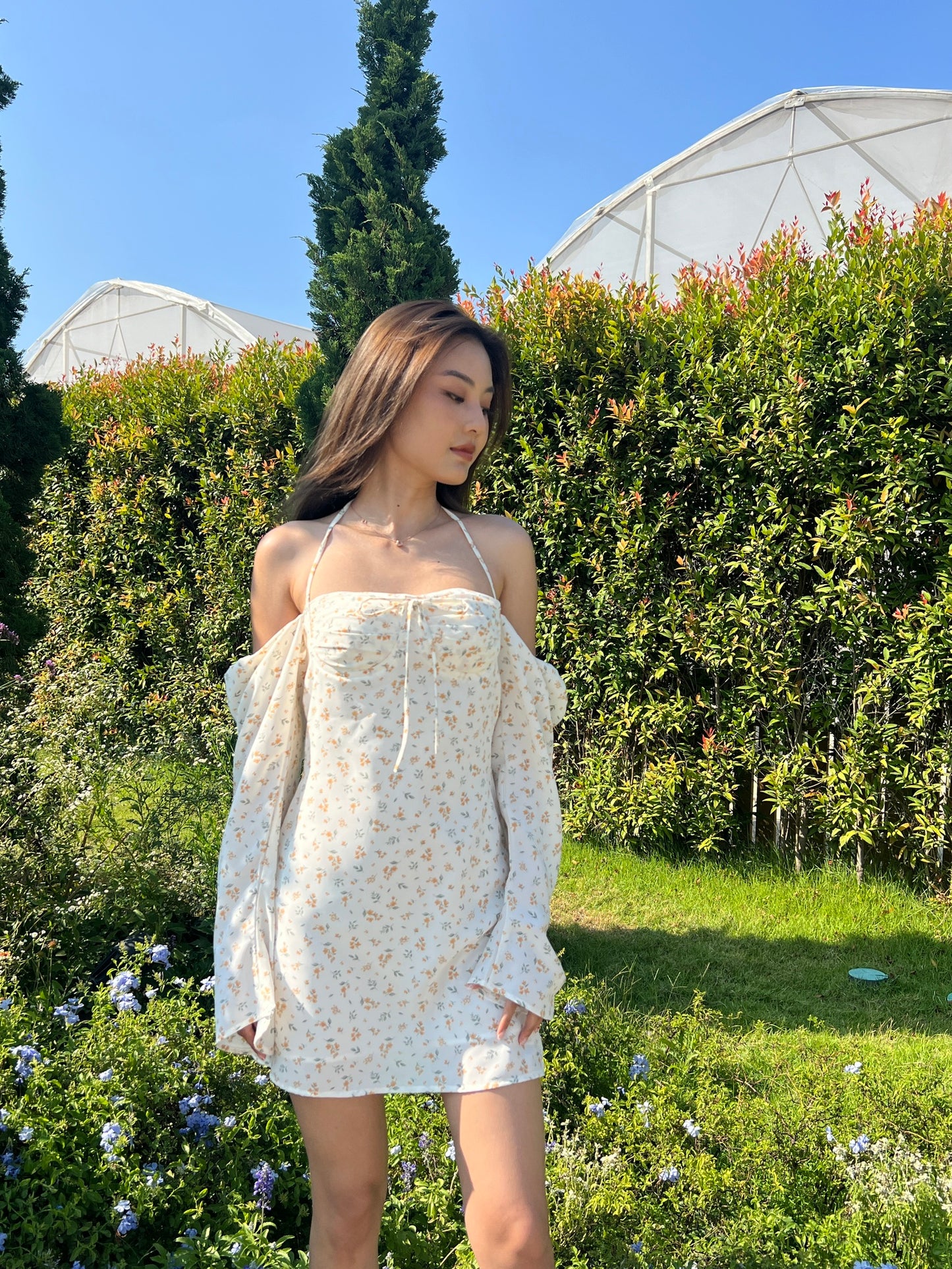 Carly Dress